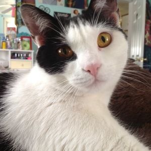 Meet your Posher, Mariah